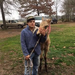 Meet your Posher, Justin